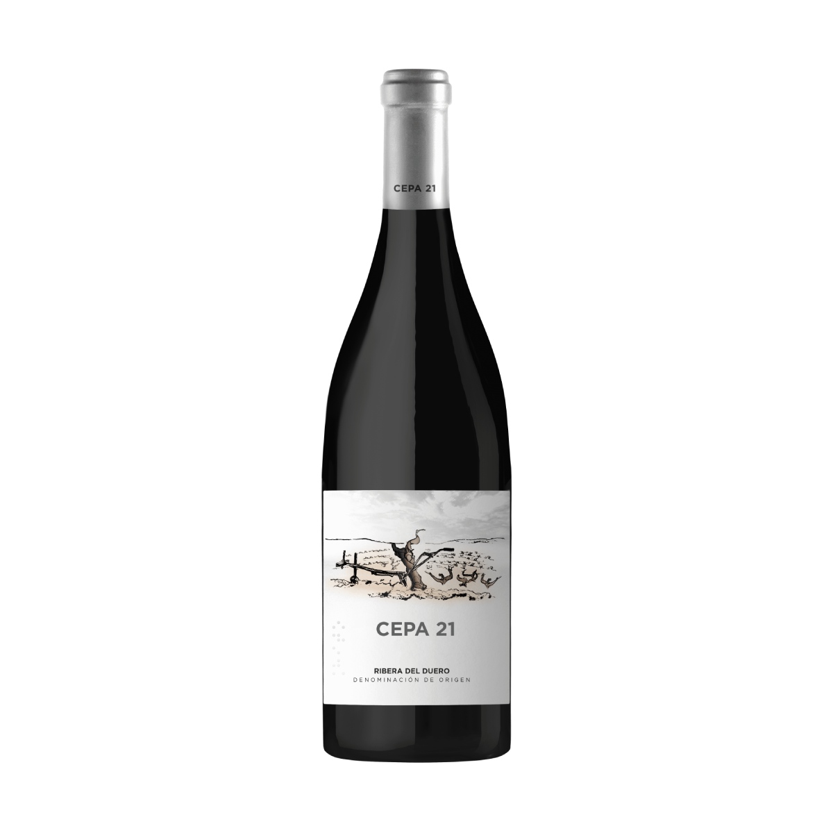 Bodegas Cepa 21 Bodegas Cepa 21