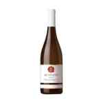 Sauvignon - Podrum Džervin