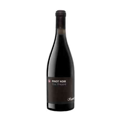 Korpa-Deli-Vina-Kamnik-PinotNoir (1)